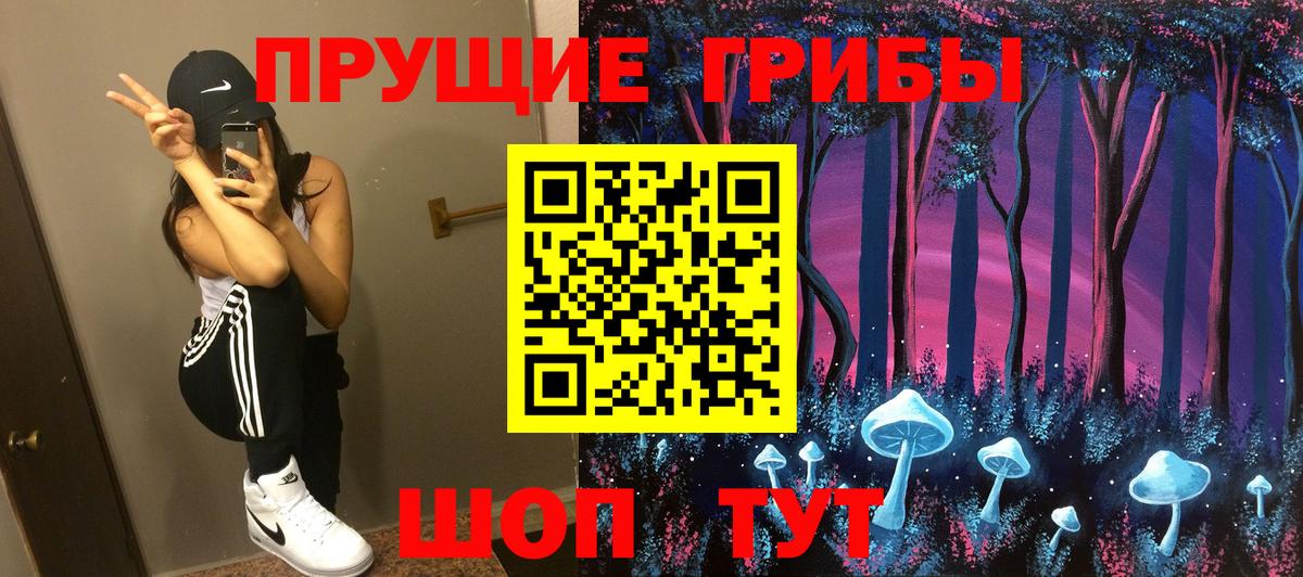 Галлюциногенные грибы Psilocybine cubensis Качканар