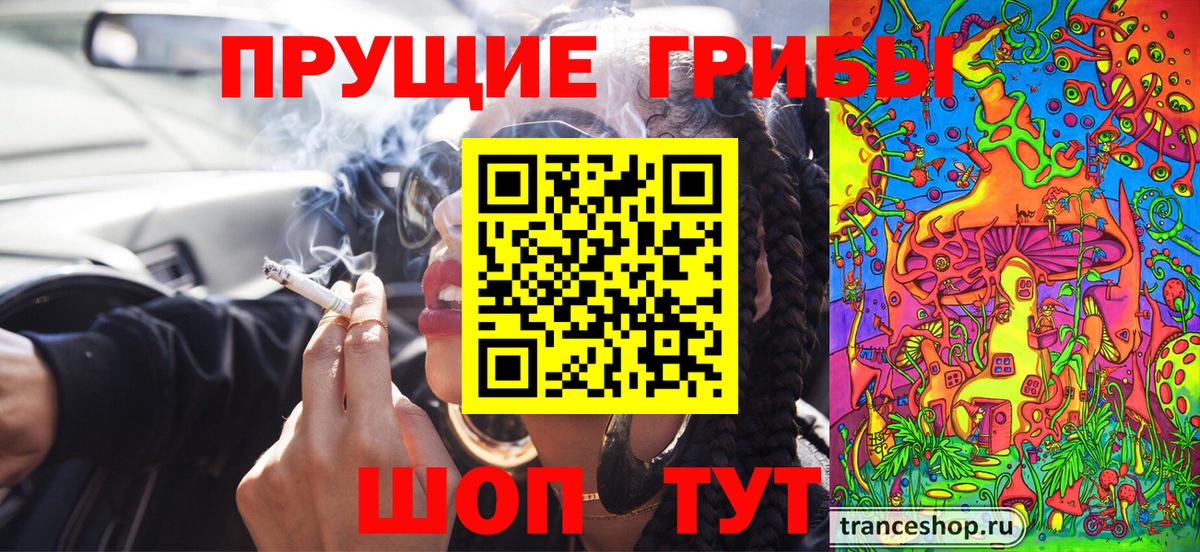 Галлюциногенные грибы MAGIC MUSHROOMS  Вход с VPN  купить  цена  Качканар 